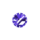 VICKIT custom watch component preview