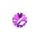 VICKIT custom watch component preview