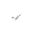 VICKIT custom watch component preview